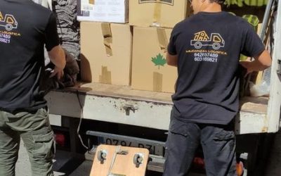 Cómo organizar con éxito tu mudanza en Elche o Alicante: guía paso a paso